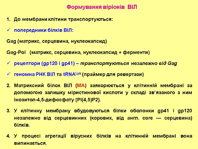 Формування віріонів  ВІЛ До мембрани клітини транспортуються: попередники білків ВІЛ: Gag (матрикс, серцевина,